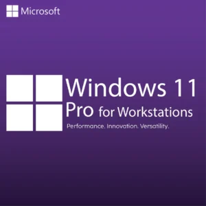 Windows 11 Pro for Workstations running on a high-end multi-CPU workstation