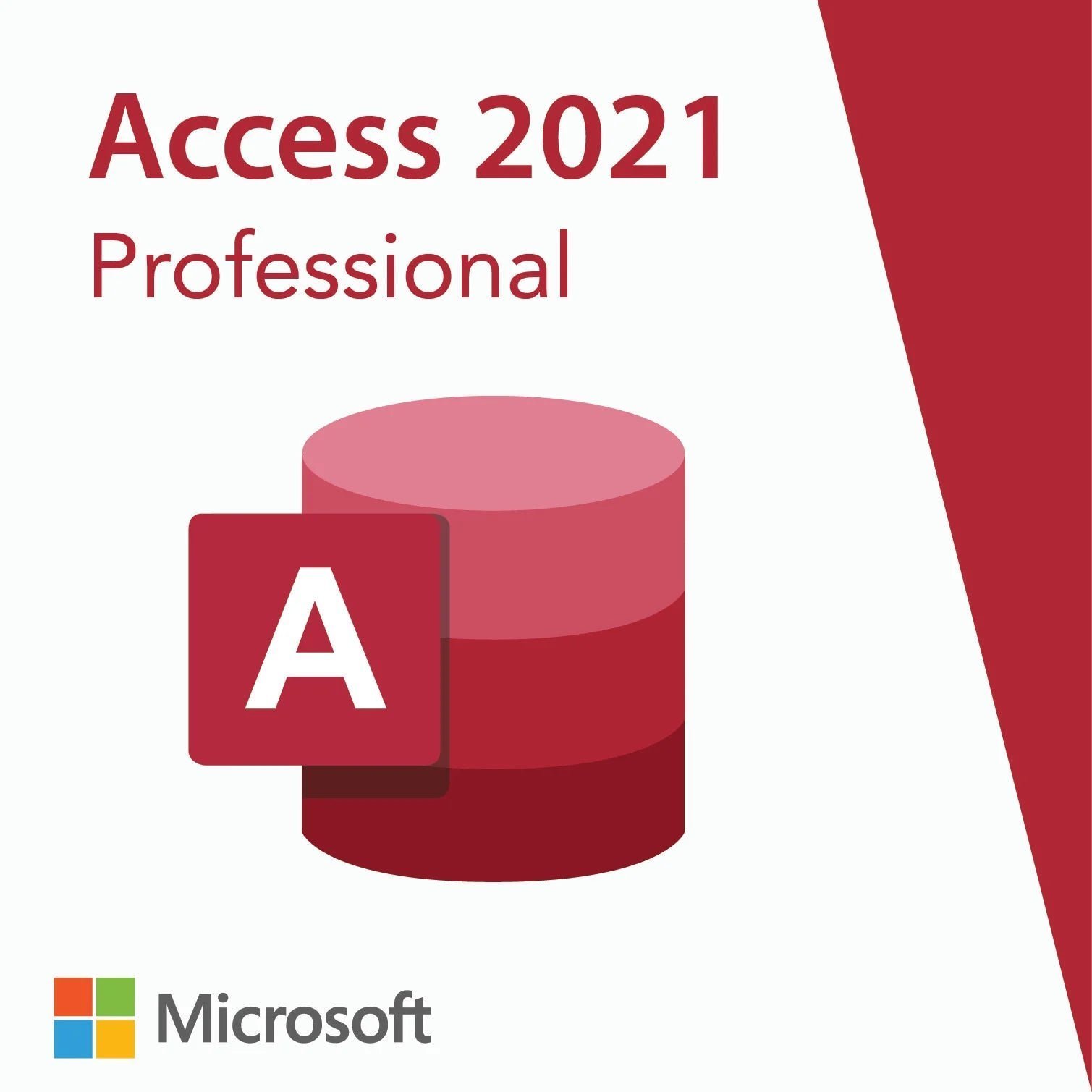 Microsoft Access 2021 Professional – License Key for 1 PC