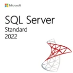 Microsoft SQL Server 2022 Standard – License Key (Full Version)